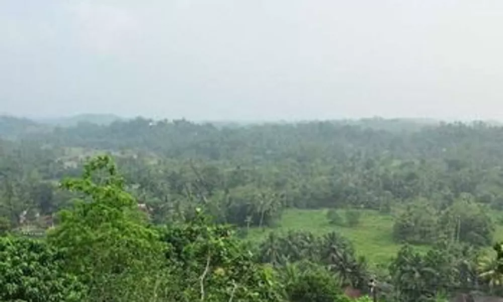 Hilltop BoutiqueVilla, фото 5
