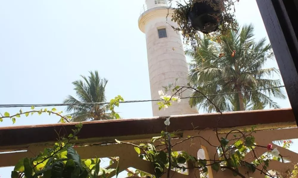 Light House View Inn, фото 2