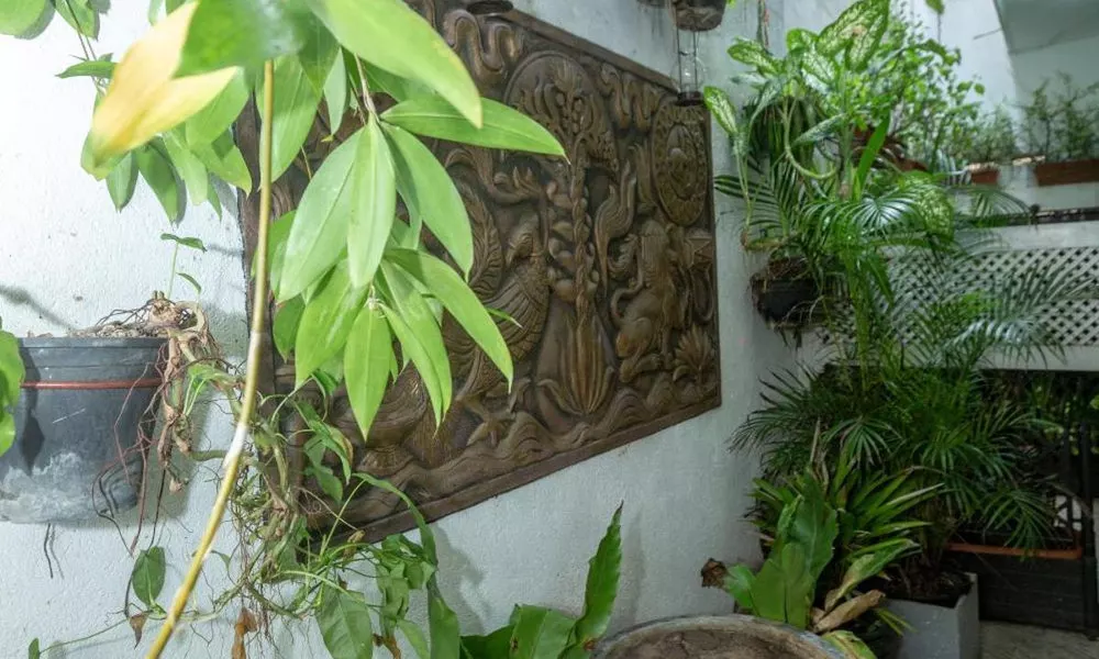 Fort Thari Inn, фото 5