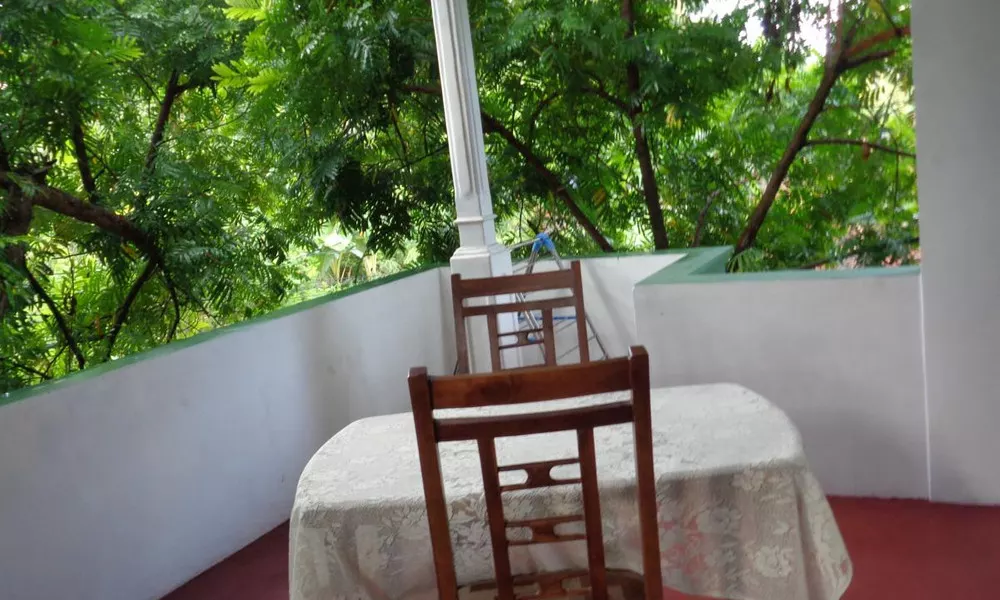 Herin Green House, фото 3