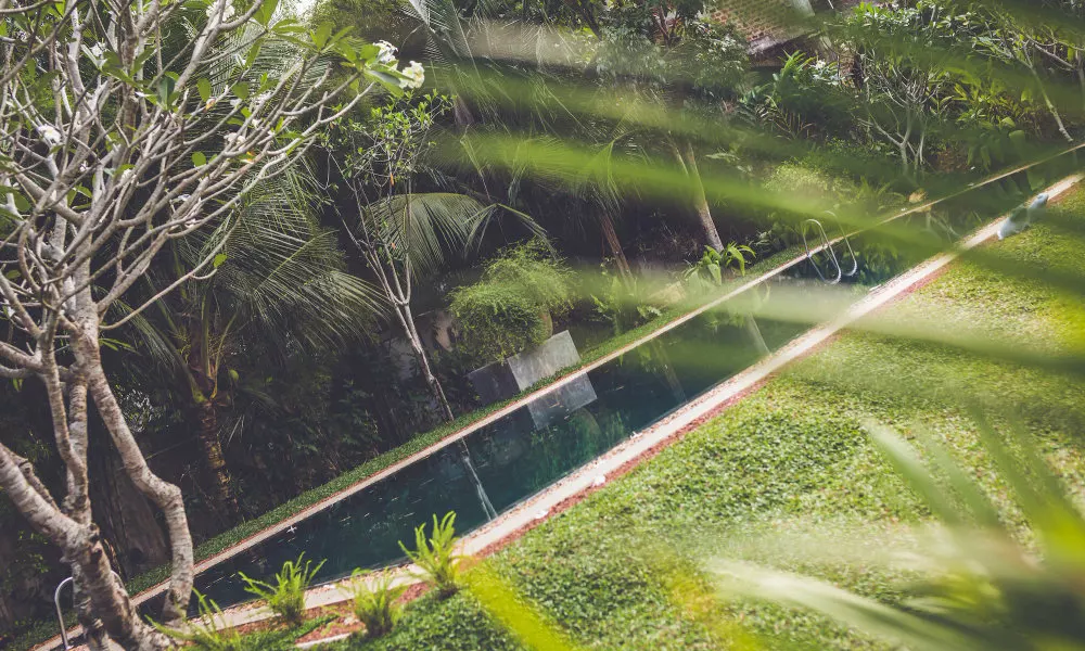 Villa White Queen Resort & Spa, фото 3