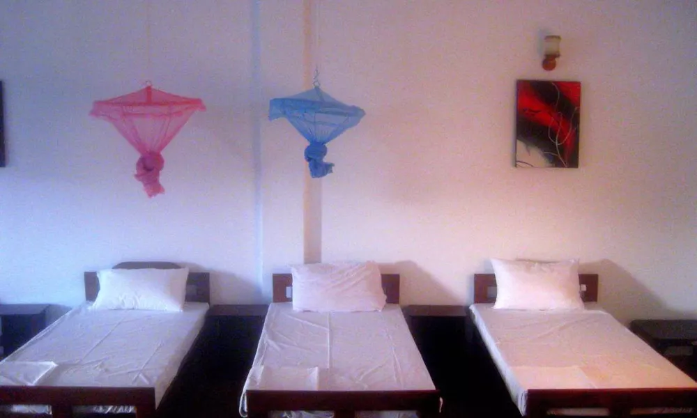 Sachal Mir's Bed&Breakfast, фото 3
