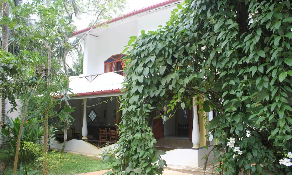 Dionis Villa
