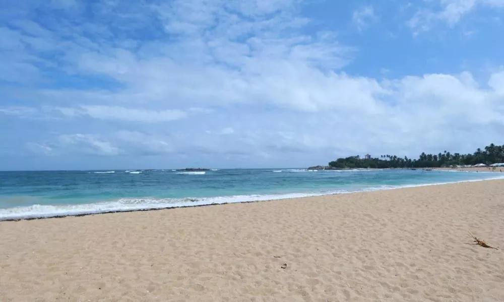 Flamingo Beach Resort, фото 5