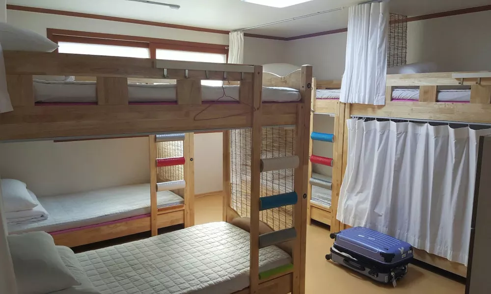 Happy Tree Guesthouse - Hostel, фото 4