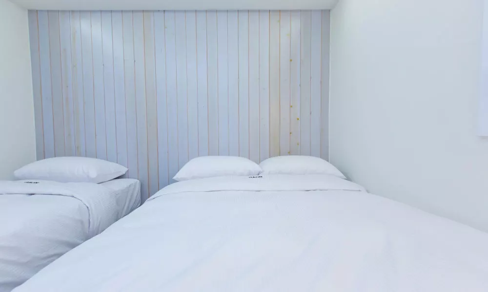 Hotel Gaon, фото 3