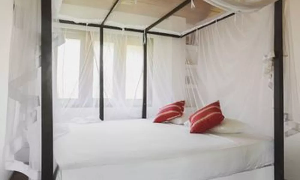 Kahuna B&B, фото 2