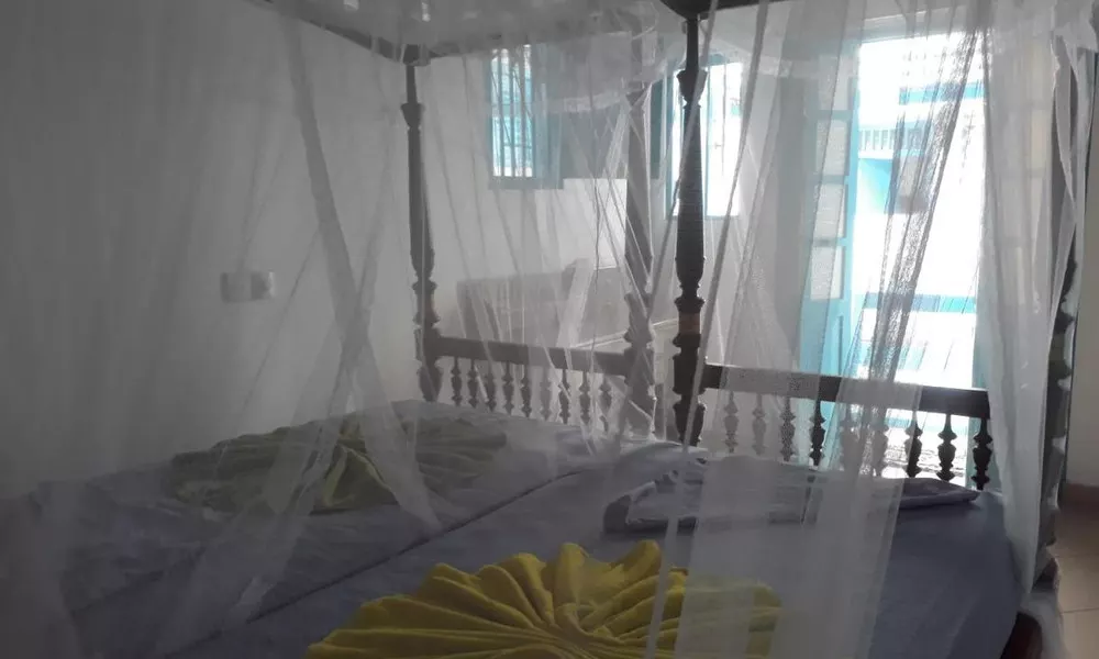 Curry Leaf Hostel - Galle Fort