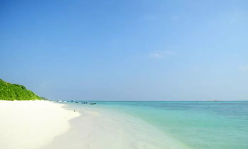 Amazing View Guest House, фото 5