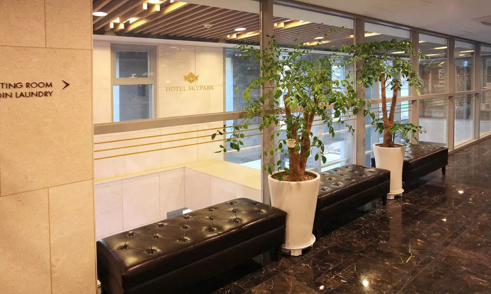 Hotel Skypark Dongdaemun 1, фото 4