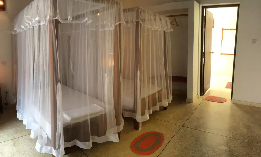 Villa Alexia, фото 4
