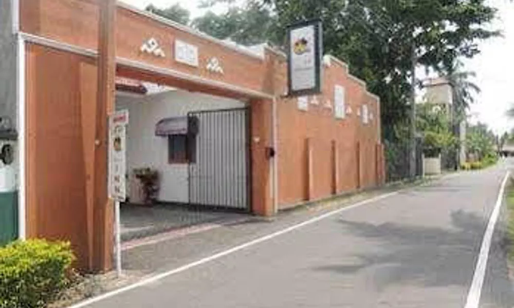 New Villa Marina, фото 4