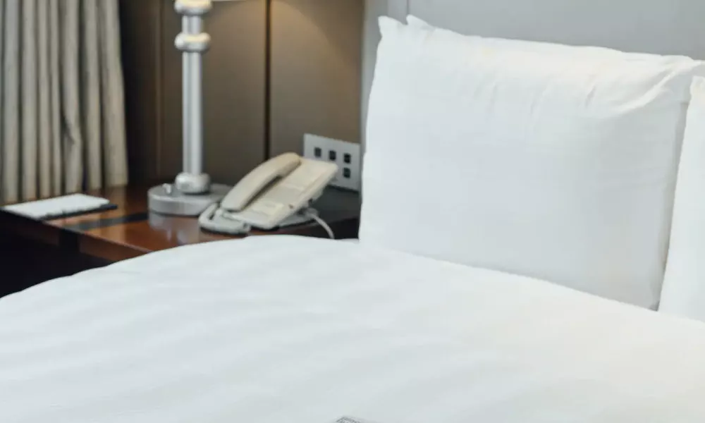 LOTTE CITY HOTEL GURO, фото 2