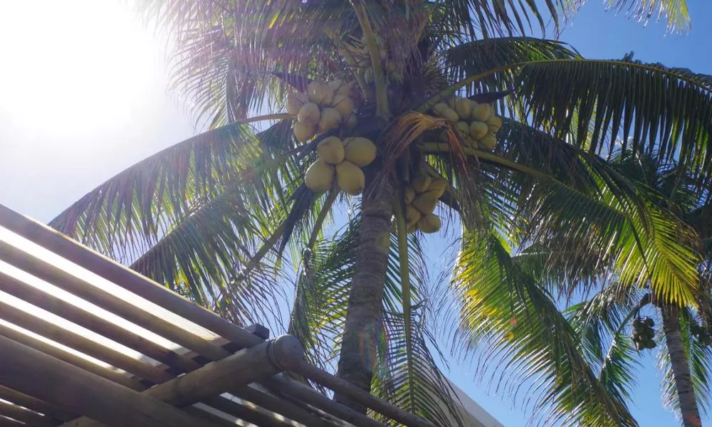 Silver Beach Hotel, фото 4