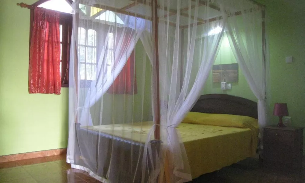 Villa Shwetha Guest House, фото 3