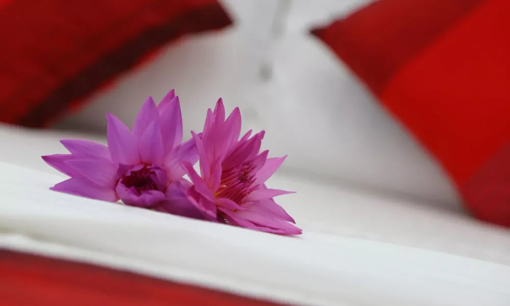 Thilaka City Hotel, фото 2