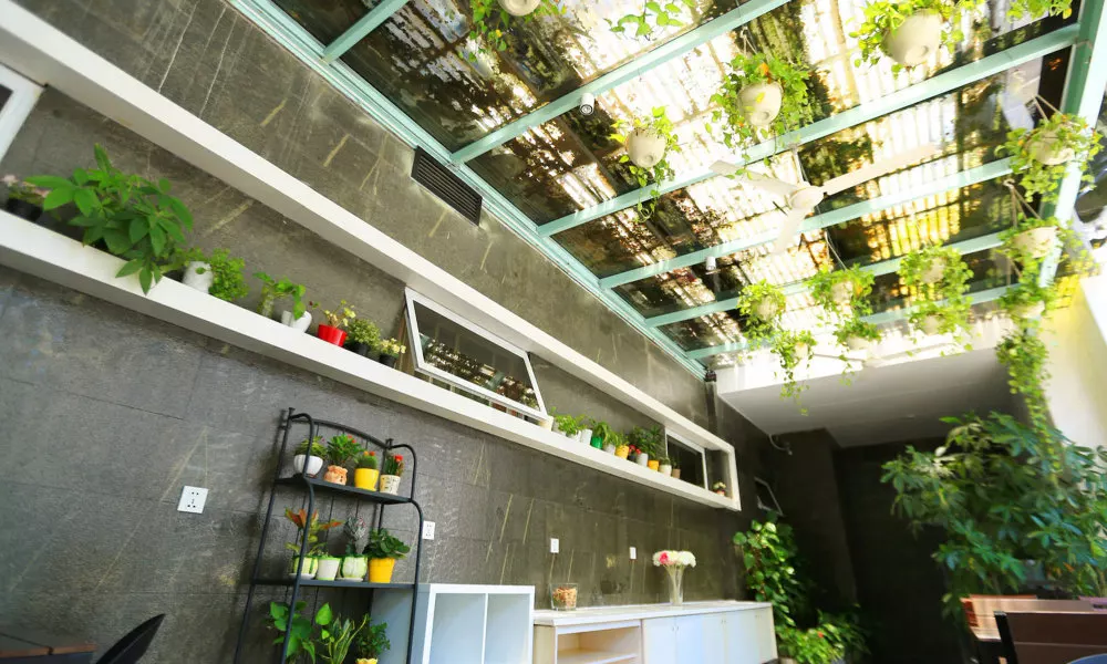 Colour Inn Shenzhen Shekou Branch, фото 3