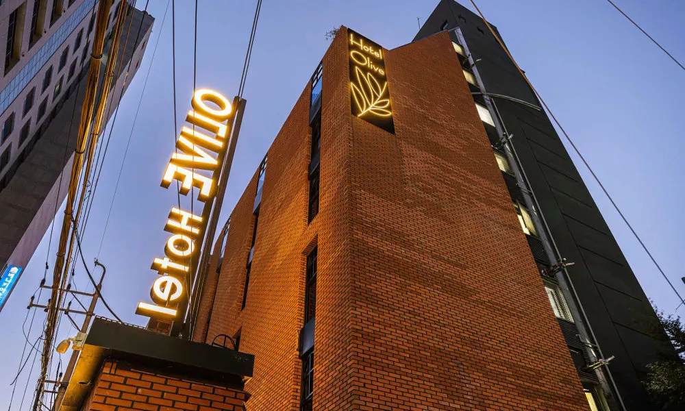 Olive Hotel, фото 3