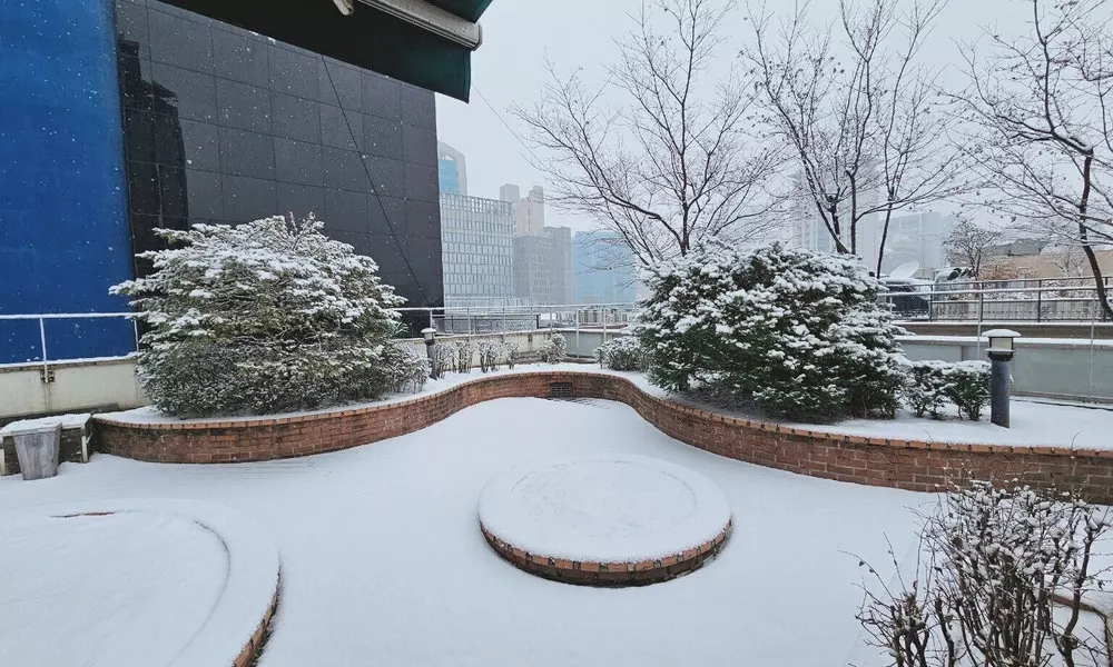 Ekonomy Hotel Myeongdong premier, фото 4