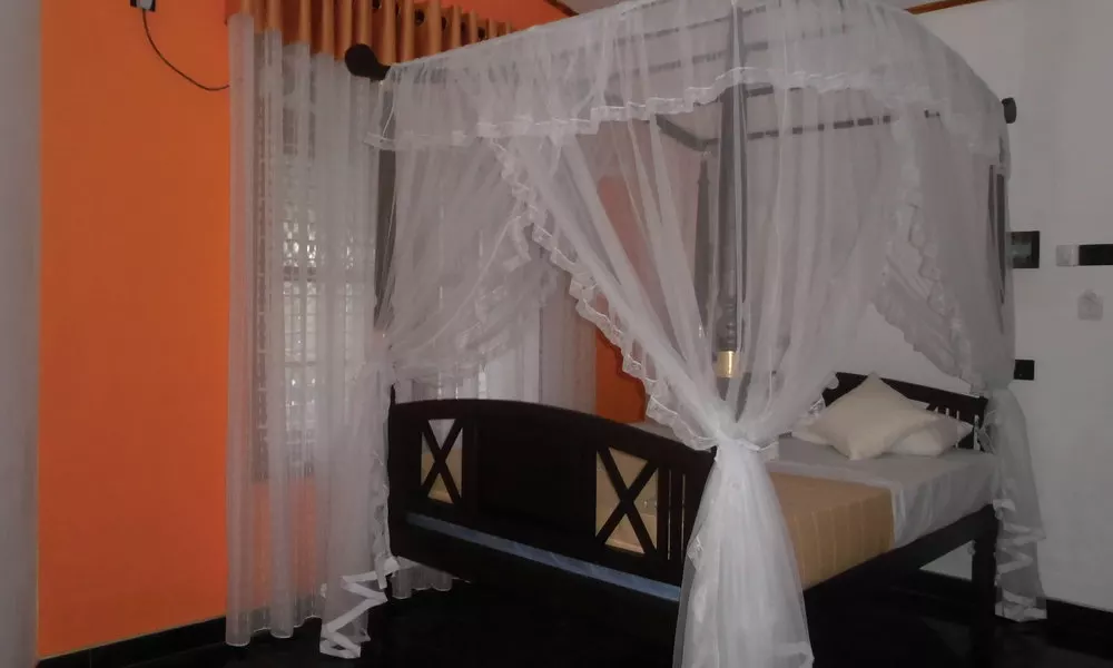 ExtremeHost Guest House, фото 3