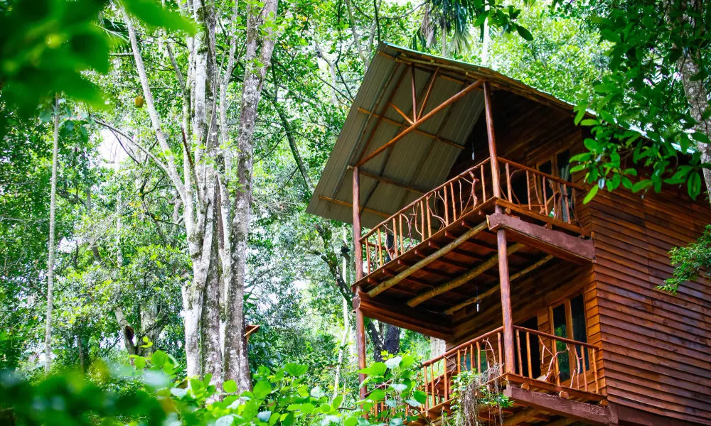 Ella Eco Lodge