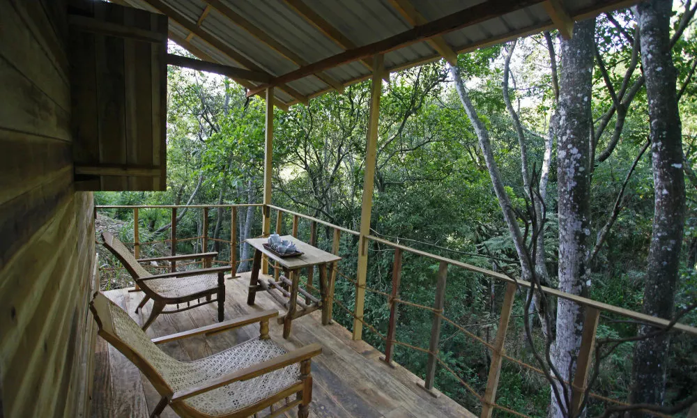 Ella Eco Lodge, фото 3