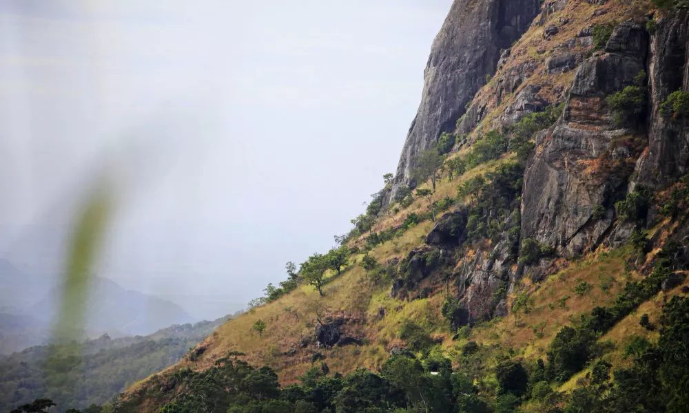 Ella Eco Lodge, фото 4