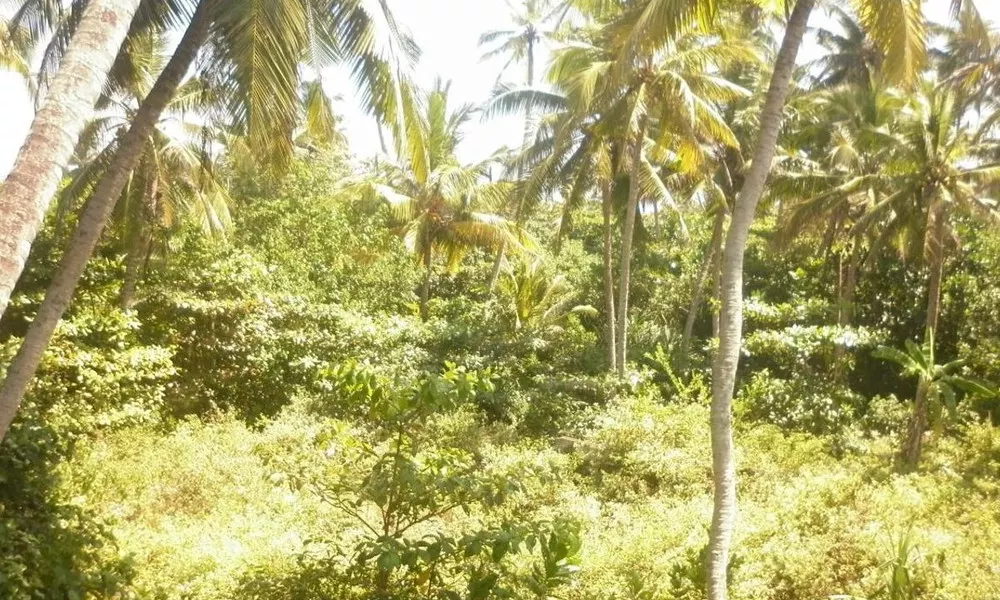 V-Royal Hikkaduwa, фото 4