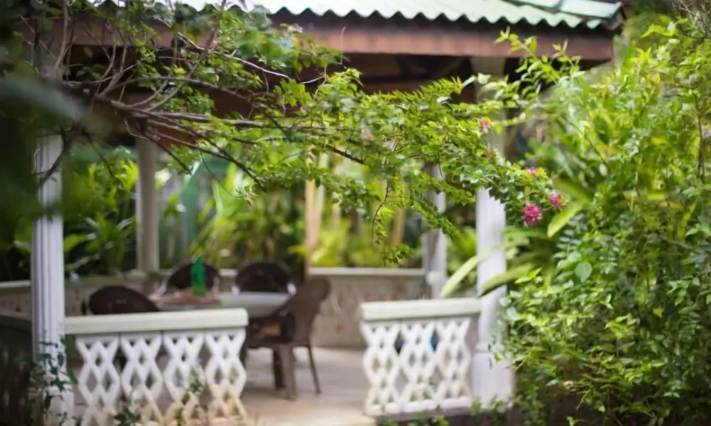 Leijay Garden Retreat, фото 5