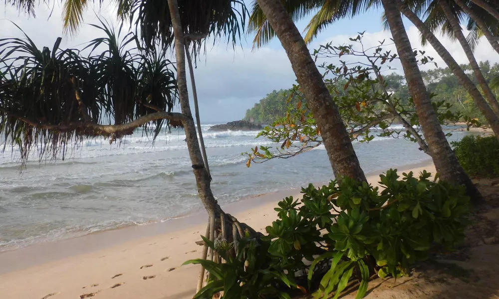Paradise Beach Club, фото 5