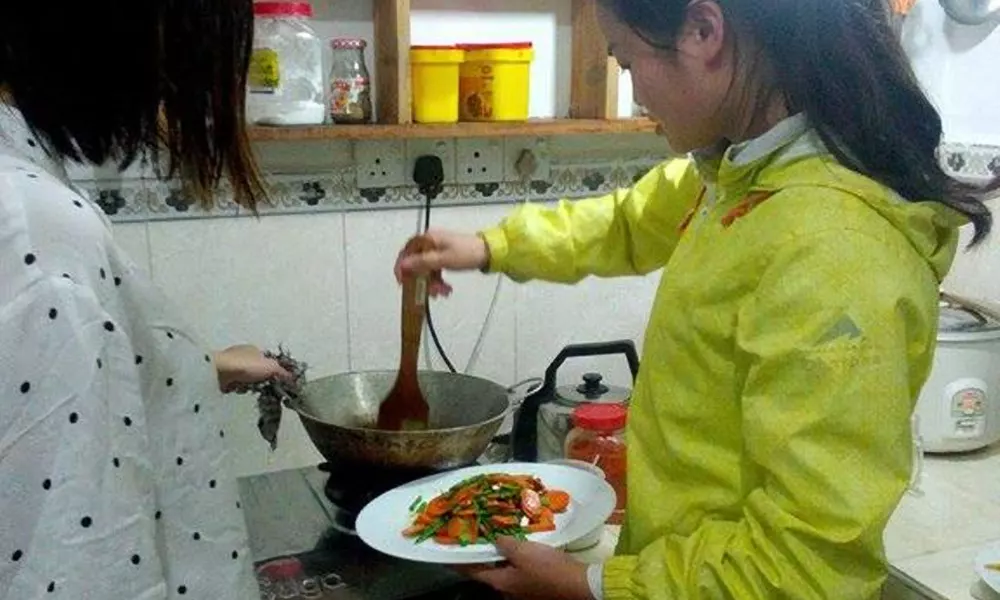 Sanron Guest House - Ella