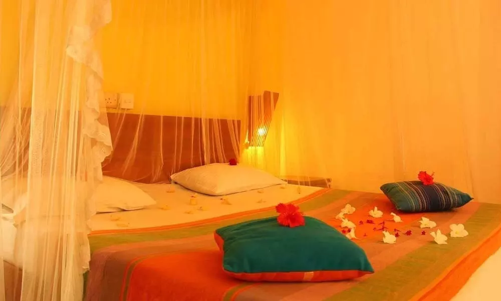 Primrose Guest house, фото 2