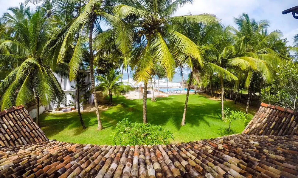 Amor Villa, фото 3