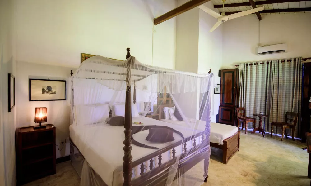 Amor Villa, фото 4