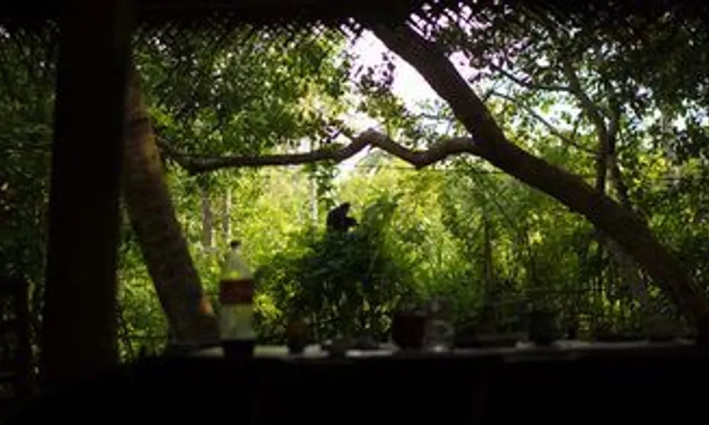 Hostel Unawatuna, фото 4