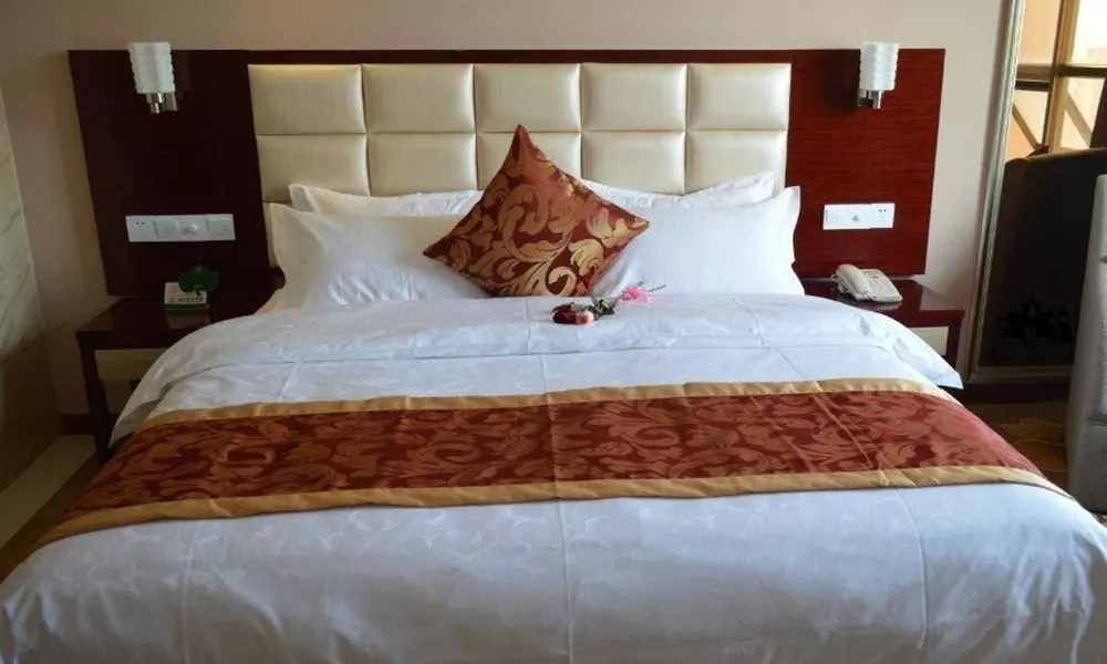 Shenzhen Borderaux Hotel, фото 2