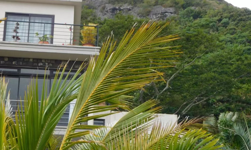 Joubarbe Residence, фото 5