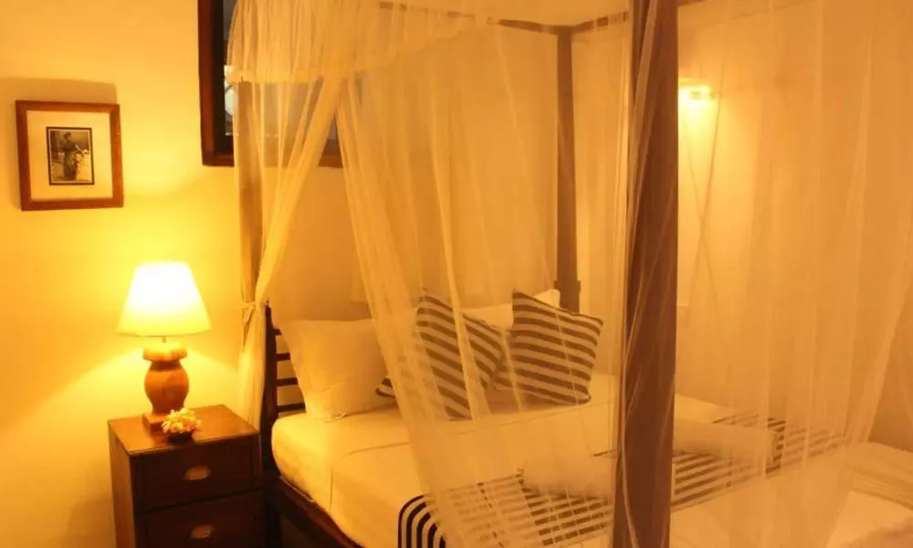 Pedlar 62 Guest House, фото 3