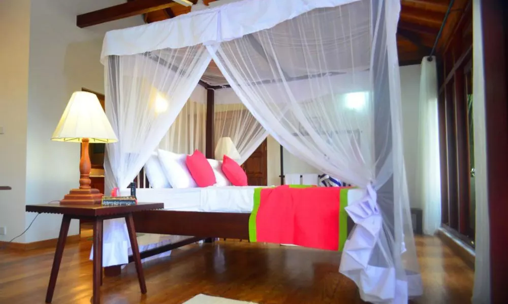 Tropical Retreat