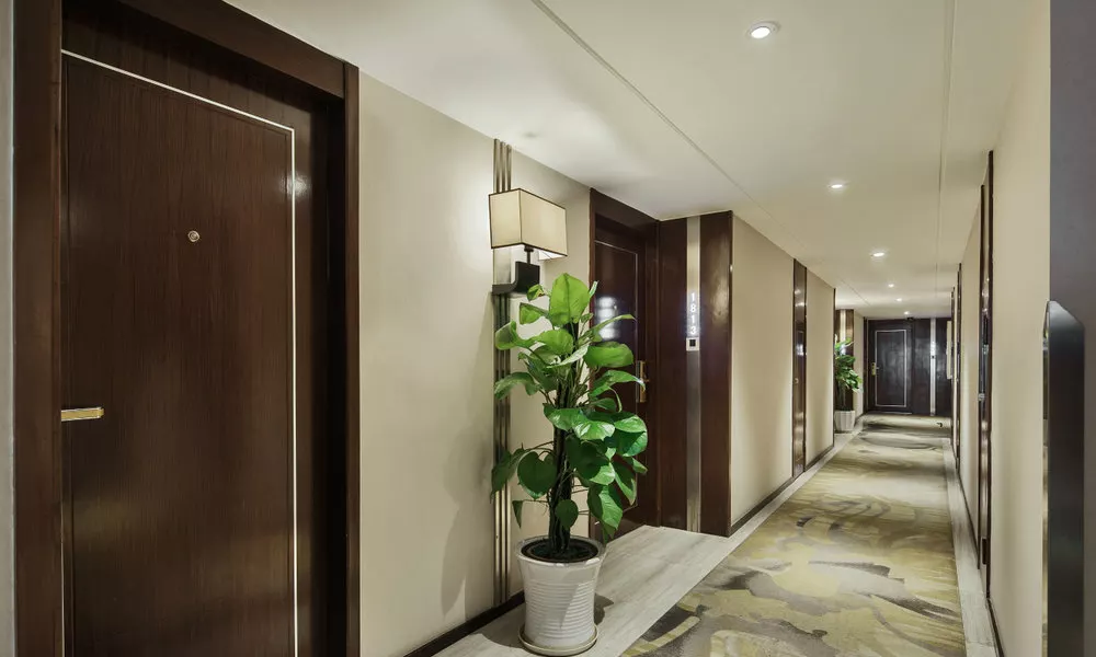 Chongqing Tianyou Hotel, фото 5
