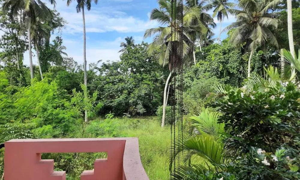 Hansa Villa, фото 3