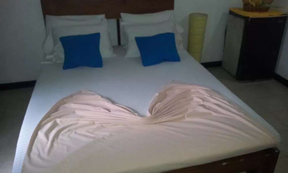 Dream Guest House and Restaurant, фото 2