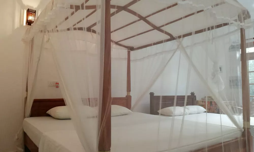 Mirissa Cocoon, фото 2