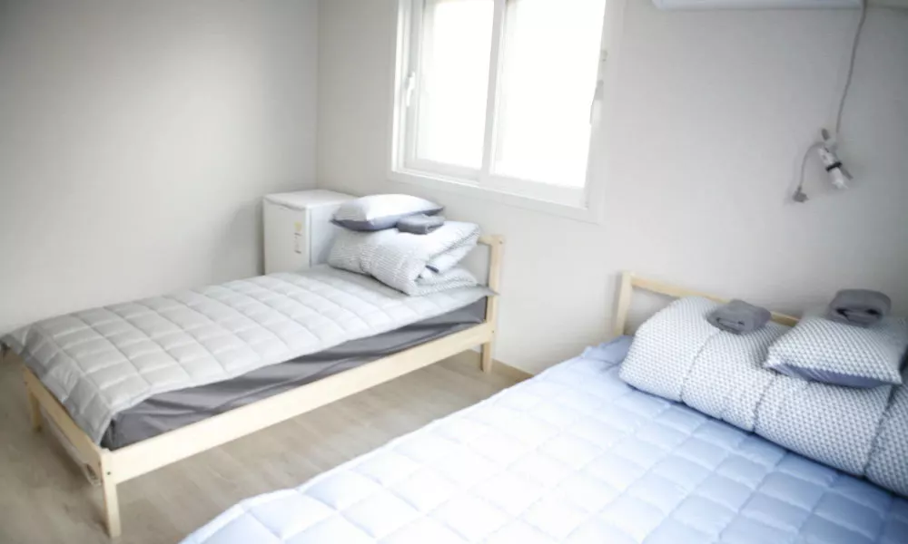 Twin Rabbit Guesthouse, фото 2