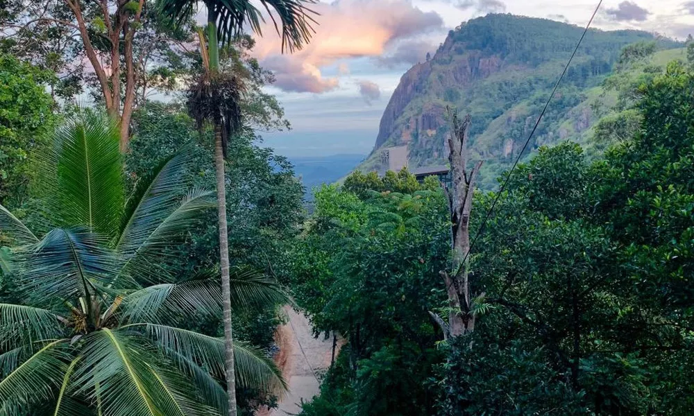 Ella Madushanka Resort, фото 2