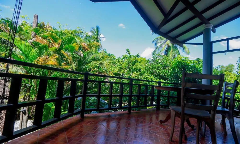 Palitha Guesthouse Hotel Dandelion, фото 3