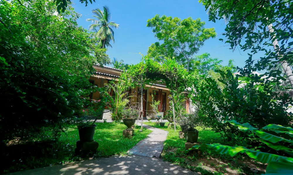 Palitha Guesthouse Hotel Dandelion, фото 5
