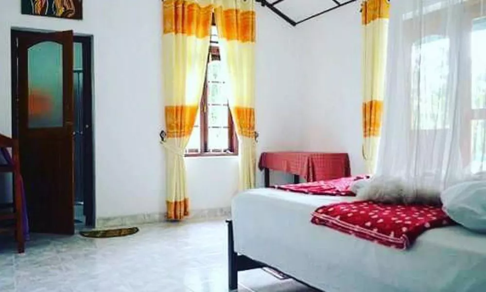Rock View Guest House, фото 3