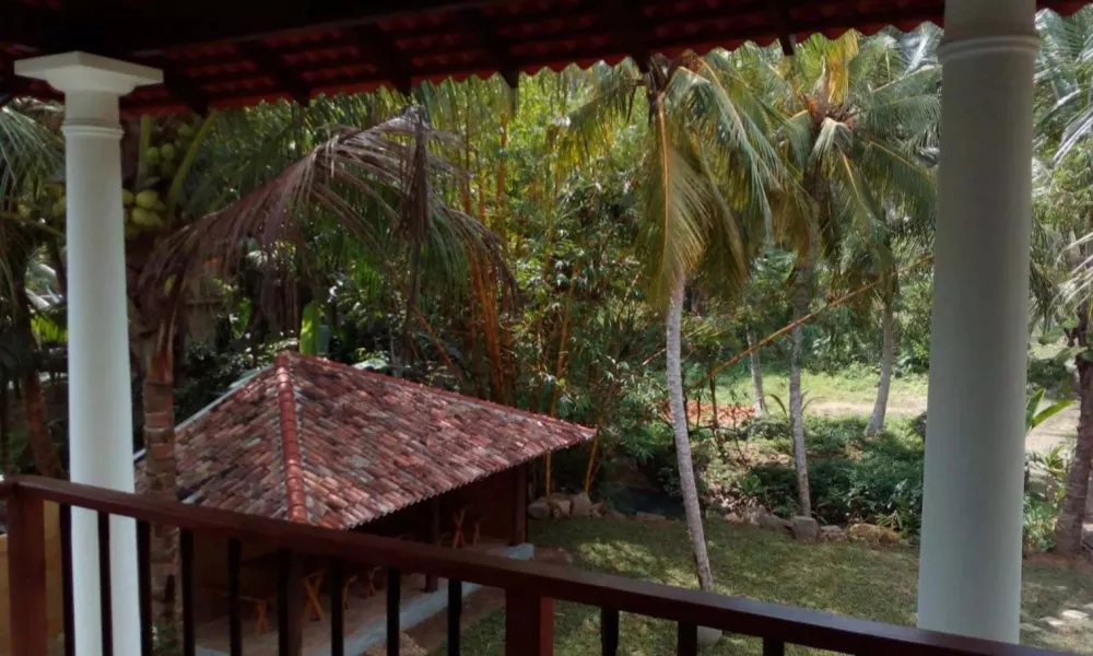 Vista Silva Rest, фото 4