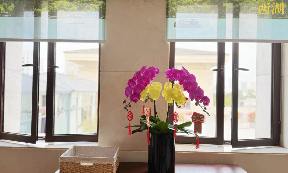 Guangzhou Zhejiang Hotel, фото 3